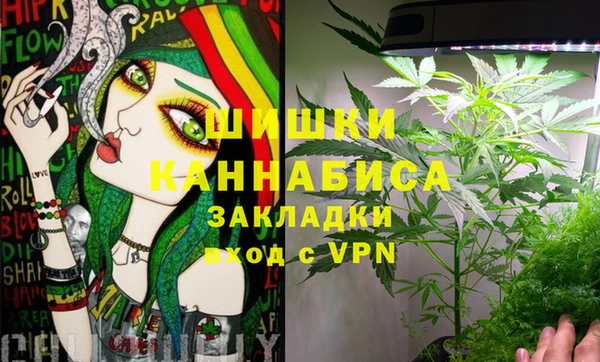 PSILOCYBIN Михайловск